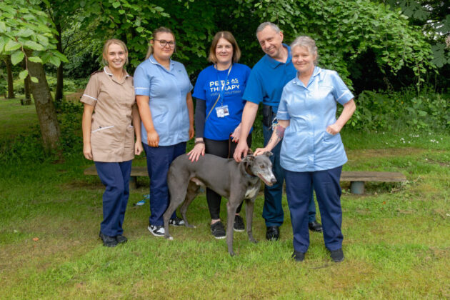 Pets as therapy team at Diamond